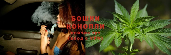 ешки Вяземский