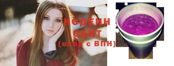 стаф Вязьма