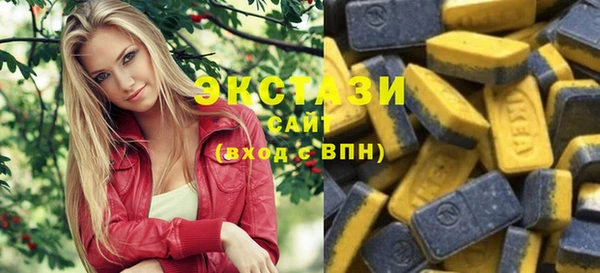 стаф Вязьма