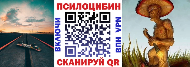 Купить  Дубна  Псилоцибиновые грибы Psilocybine cubensis 